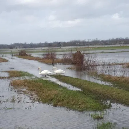 Le Relais De La Chaussee Neuilly-la-Foret