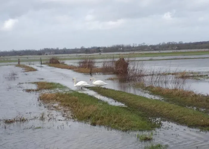 Le Relais De La Chaussee Neuilly-la-Foret