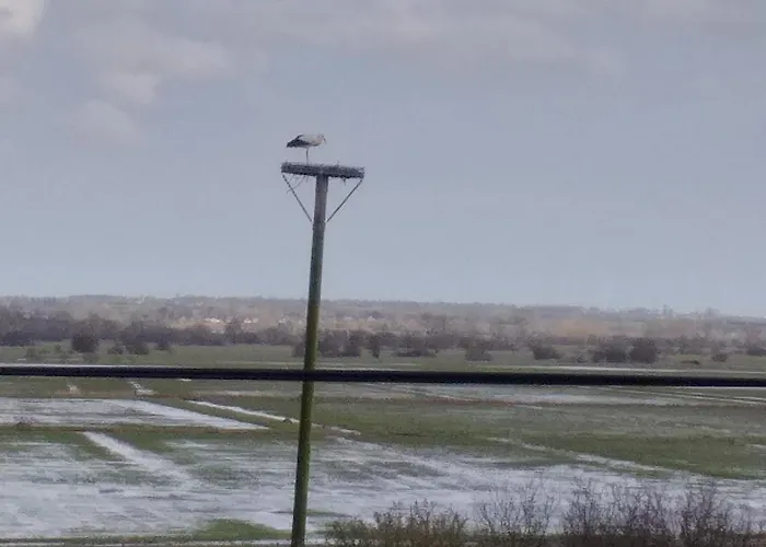 Le Relais De La Chaussee Neuilly-la-Foret